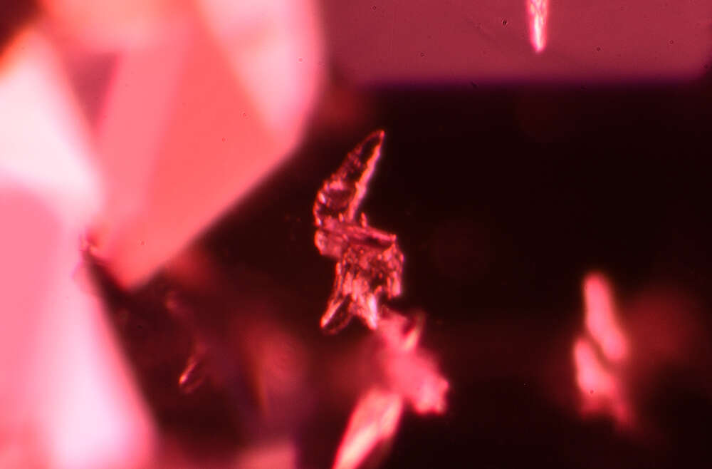 Calcite Inclusions in Unheated Ruby