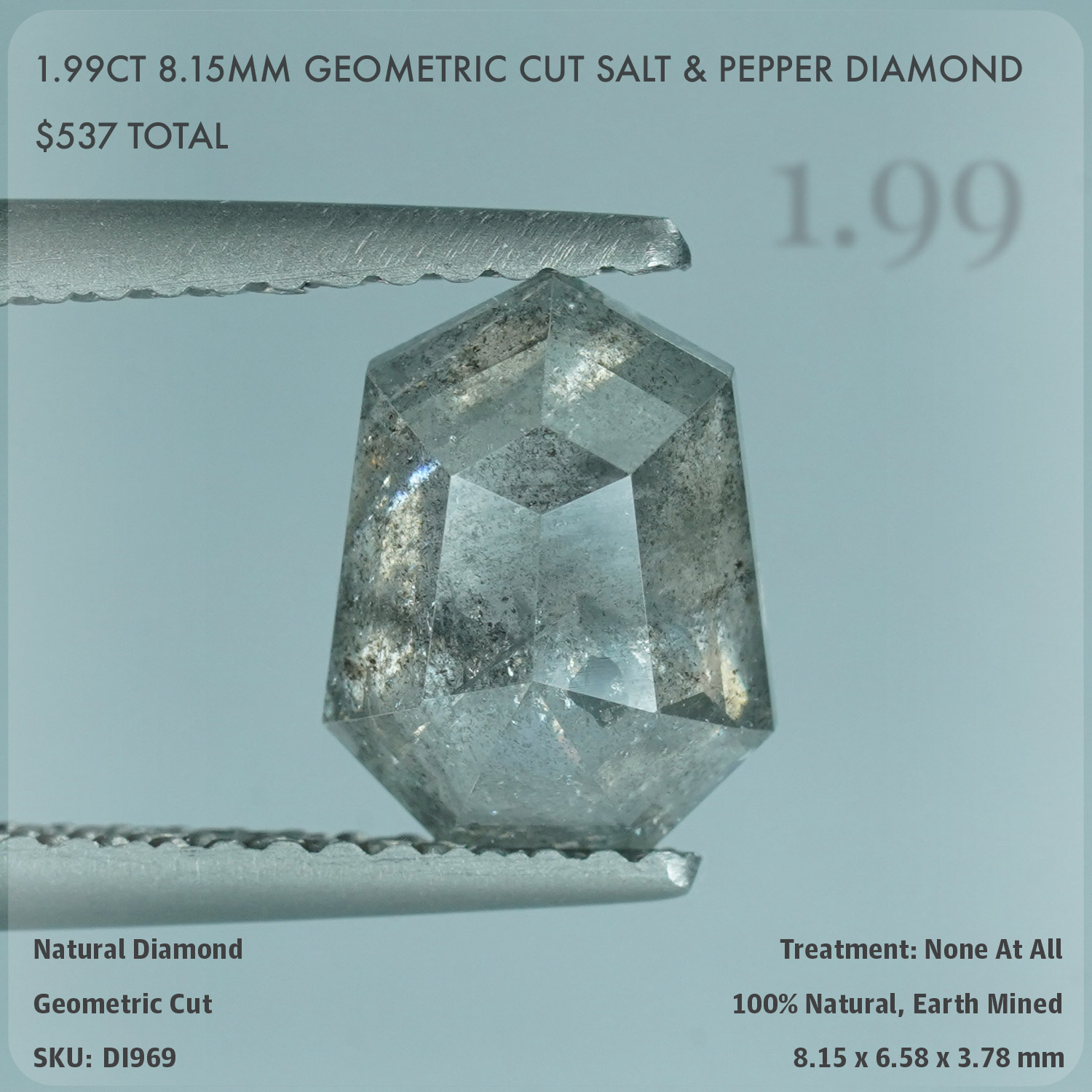 1.99CT 8.15mm Geometric Cut Salt & Pepper Diamond